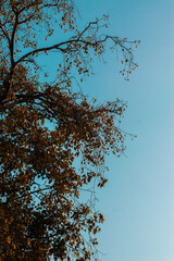 These all are famous architecture and designs