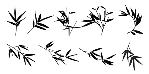 
Collection of bamboo leaf silhouettes on a white background. Vector