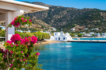 View of Vathi beach with flowers in foreground and Greek church in background, Milos island,...