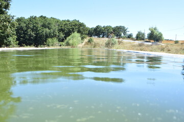 Dirty water pool