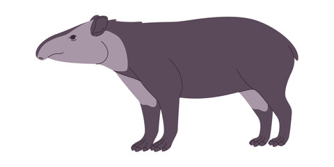 bairds tapir wild nature mammal animal herbivore creature have small trunk and muzzle mouth - obrazy, fototapety, plakaty