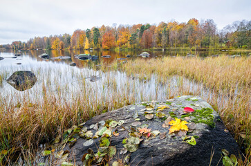 Begining of November on the Swedish lake coast - 692239543
