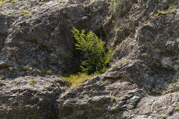 Balkan mountain range, known locally also as Stara planina. The mountain chain of the folded...