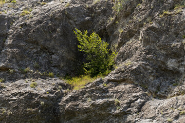 Balkan mountain range, known locally also as Stara planina. The mountain chain of the folded mountains.