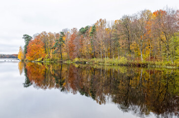 Autumn lake morning in Sweden - 692239775