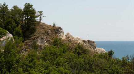 Fototapeta na wymiar Bulgaria. The Black Sea coast. Mountains and forest, sedimentary rocks.