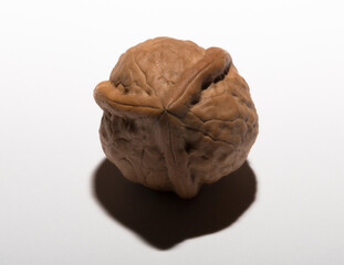 Walnuts are rounded, single-seeded stone fruits of the walnut tree. Tricuspid walnut.