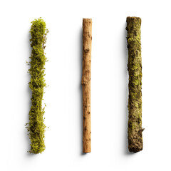 Set of sticks covered in lichen or moss isolated on transparent background. Generative AI - obrazy, fototapety, plakaty