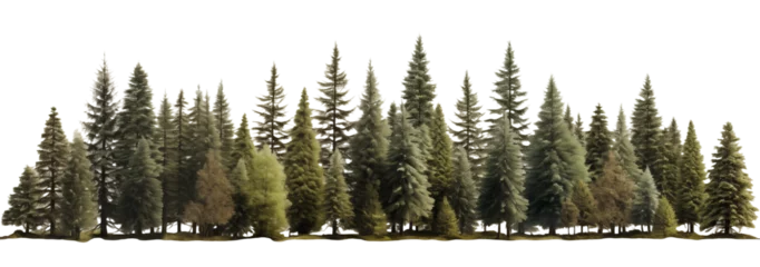Fotobehang Green evergreen fir pine spruce trees treeline isolated on transparent background. Generative AI © MDNANNU