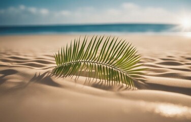 Fototapeta na wymiar Beautiful background for summer vacation and travel. Golden sand of tropical beach with fallen palm leaf. Holiday and relaxation concept