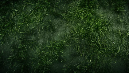 Fotobehang grass background © Dipta