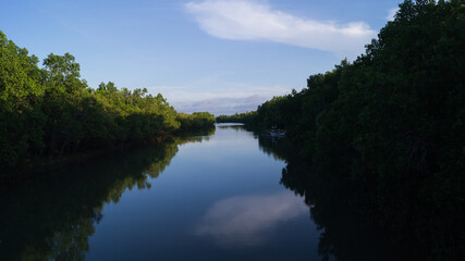 Fototapeta na wymiar Bakhawan in Kalibo, Aklan, Philippines. It is a mangrove park.