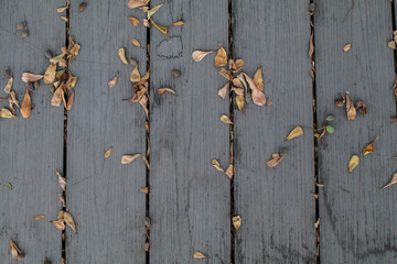 Wooden floor and yellow leave drops on the floor texture for design and architect. Autumn background.