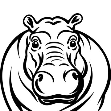 Hippo Head Portrait Sketch Black Outline Vector