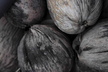 dry and old coconut was left in a pile.