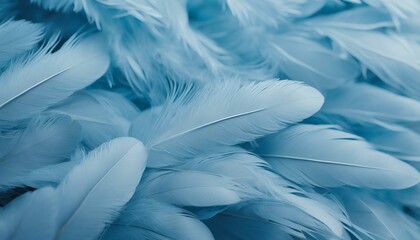 Fototapeta na wymiar Close up of blue feathers as background.