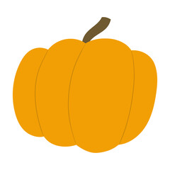 pumpkin autumn illustration