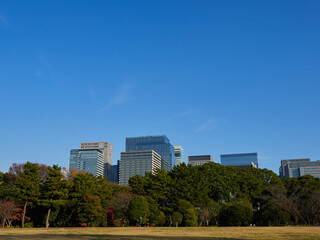 秋の東京都の都市の公園とオフィスビルの風景
