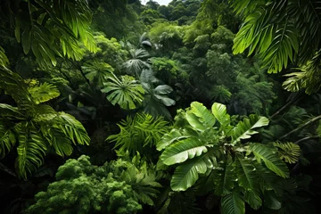 Schilderijen op glas Photo of a lush tropical rainforest canopy from above. Generative AI © Aditya
