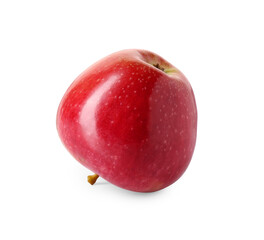 One ripe red apple isolated on white