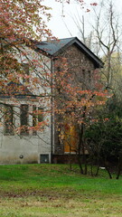 The colorful and beautiful leaves on the trees in autumn