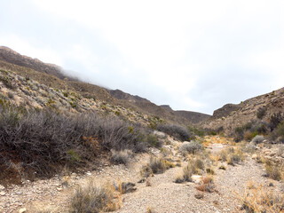 Strawhouse Trail Begins To Open Up On The Southern End Of The Trail