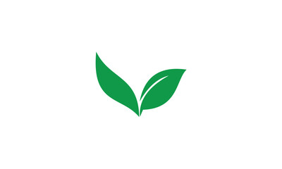 Fototapeta premium green plant isolated on white background