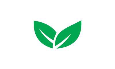 green leaf icon