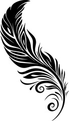 Obraz premium Maori Feathers