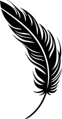 Obraz premium Maori Feathers