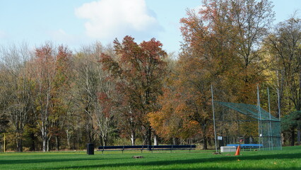 The colorful and beautiful leaves on the trees in autumn