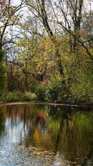 The beautiful autumn view with the colorful leaves and reflection in water