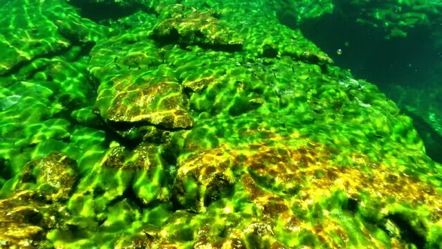 Fondo rocoso de estanque natural con aguas cristalinas cubierto por una alfombra algas verdes y haces de luces impresionantes.
