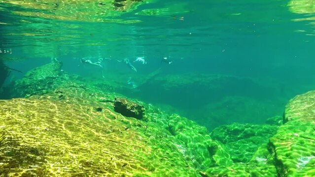 Fondo de un estanque natural cubierto de algas verdes y gente nadando.