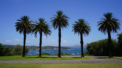 Sydney sightseeing