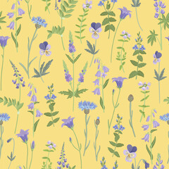 seamless pattern with blue field flowers, vector drawing wild flowering plants at yellow background, floral ornament, hand drawn botanical illustration