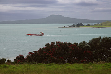 Pohutukawa Trees in Flower and the islands of Rangitoto and Browns Island Auckland, New Zealand