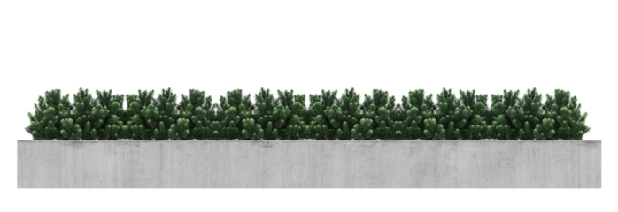 Green small plants grass isolated on transparent background.