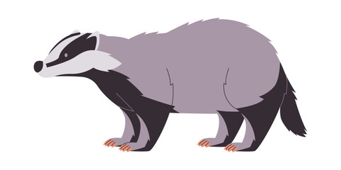 white black and gray color badger wild nature omnivore animal cute funny and furry creature