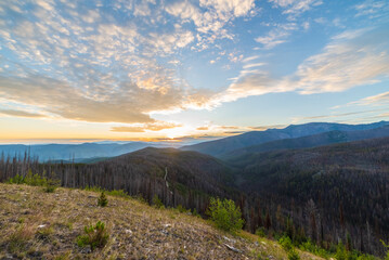 Road Deep In The Mountains