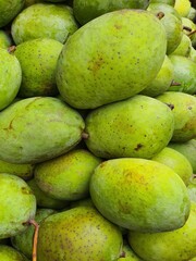 Close up pile of tasty fresh mangoes sold at the market as a background.