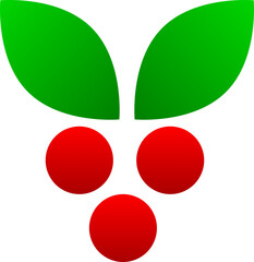 Red cherry christmas winter icon PNG