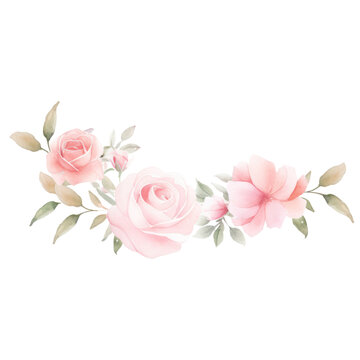 Watercolor illustration of flower border for composition, Rose flower isolated on white background.