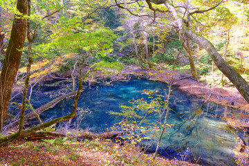 白神山地の麓にある十二湖　沸壺の池　青森県