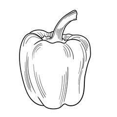 Hand Drawn Spices Paprika