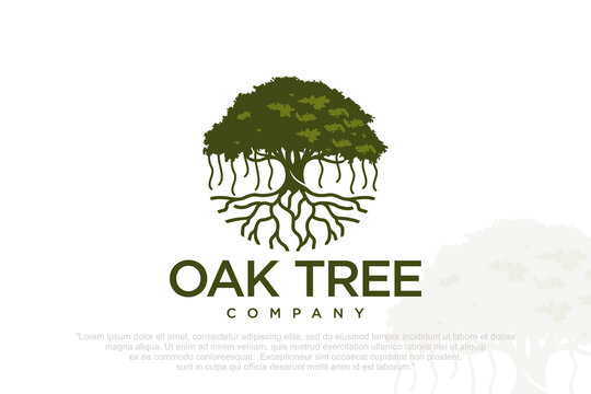 banyan Tree logo . icon silhouette of a tree . Vector illustration