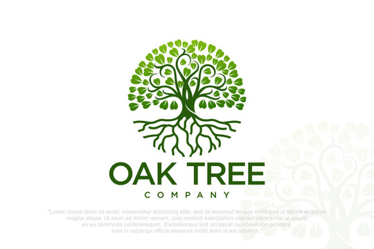 Root Of The Tree logo . icon silhouette of a tree . Vector illustration