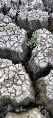 Dried pond soil in Thar Desert of Rajasthan