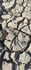 Dried pond soil in Rajasthan desert