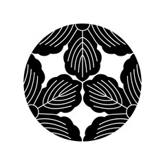 柏紋・三つ割の三ツ柏（みつわりのみつかしわ）/ 三つ割り三つ柏（みつわりみつかしわ） © minya